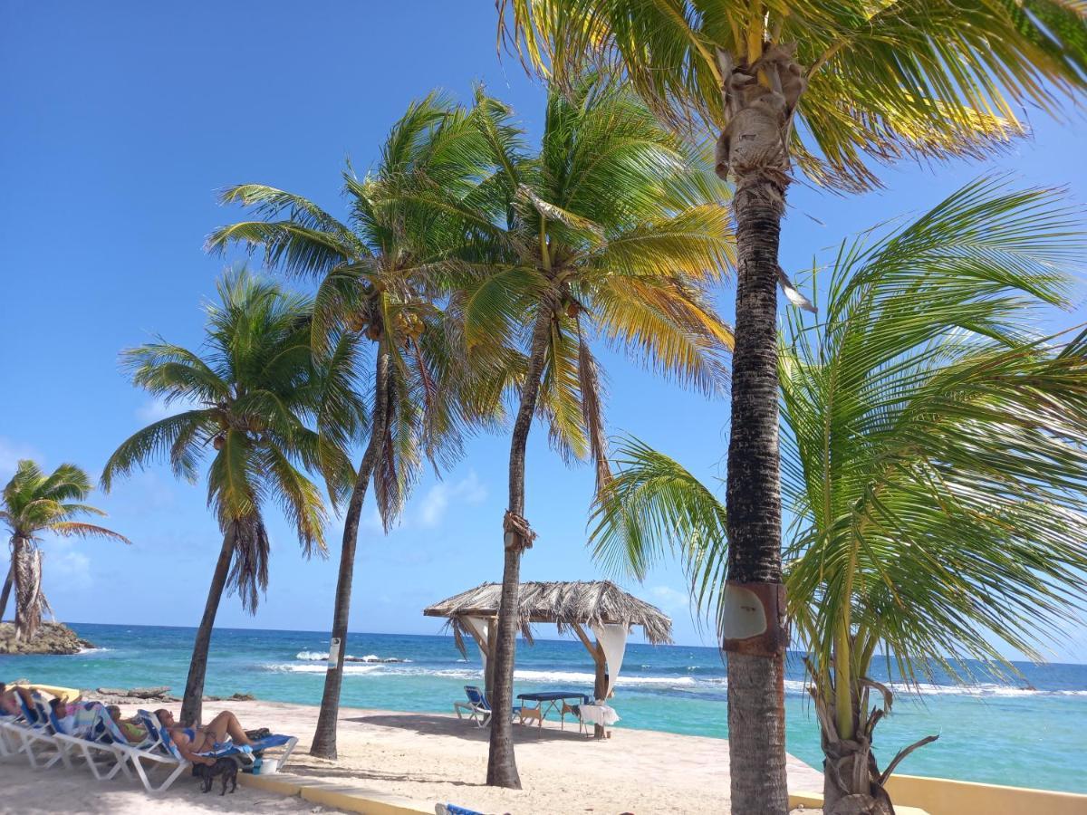 Tropical Cocooning Saint-Francois (Grande-Terre) Exterior foto